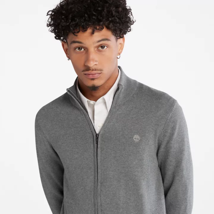 Williams River Full-zip Jumper for Men in Grey