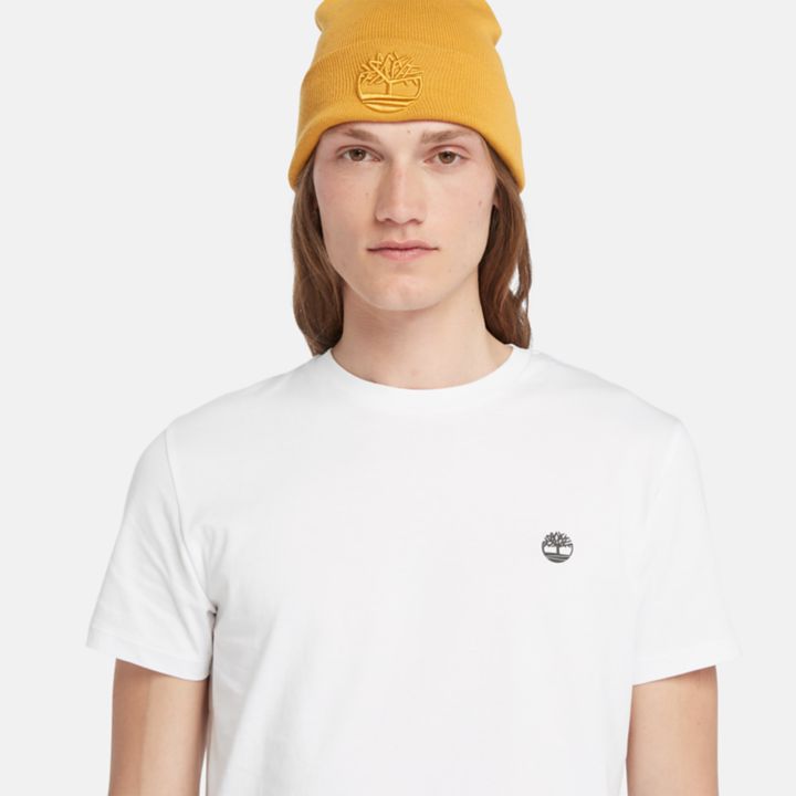 3-Pack Basic Jersey Crew T-Shirt for Men in White