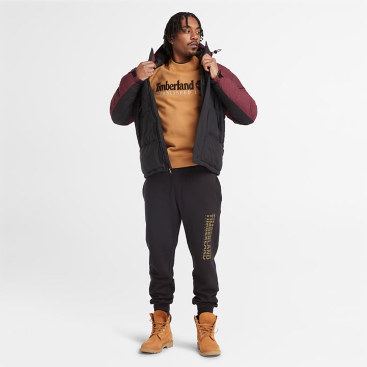 Est. 1973 Logo Crew Sweatshirt for Men in Yellow