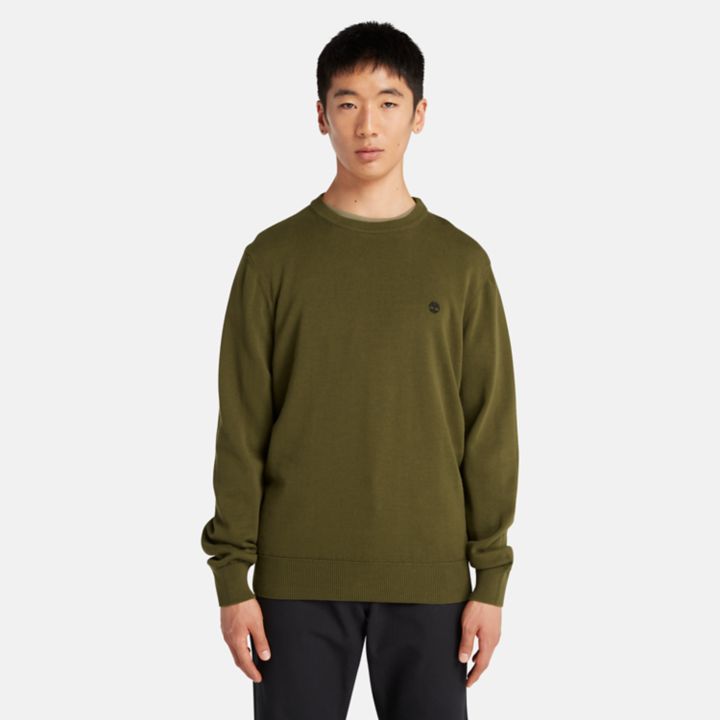 Williams River Crewneck Jumper for Men in Green