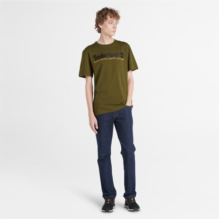 Wind, Water, Earth, and Sky T-Shirt for Men in Green