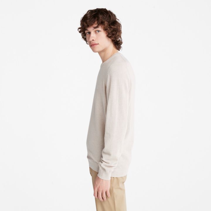 Cohas Brook Crewneck Jumper for Men in Grey