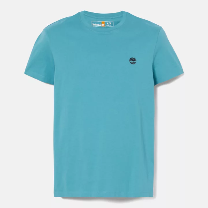 Dunstan River Crewneck T-Shirt for Men in Blue