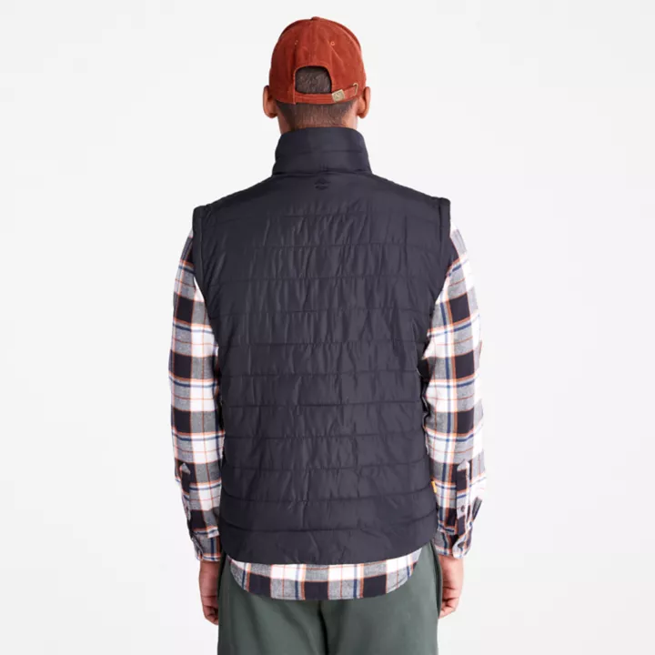 Axis Peak Water-Repellent Packable Gilet for Men in Black