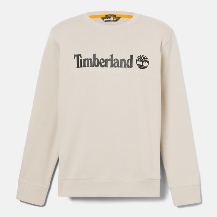 Wind, Water, Earth, and Sky Sweatshirt for Men in Beige