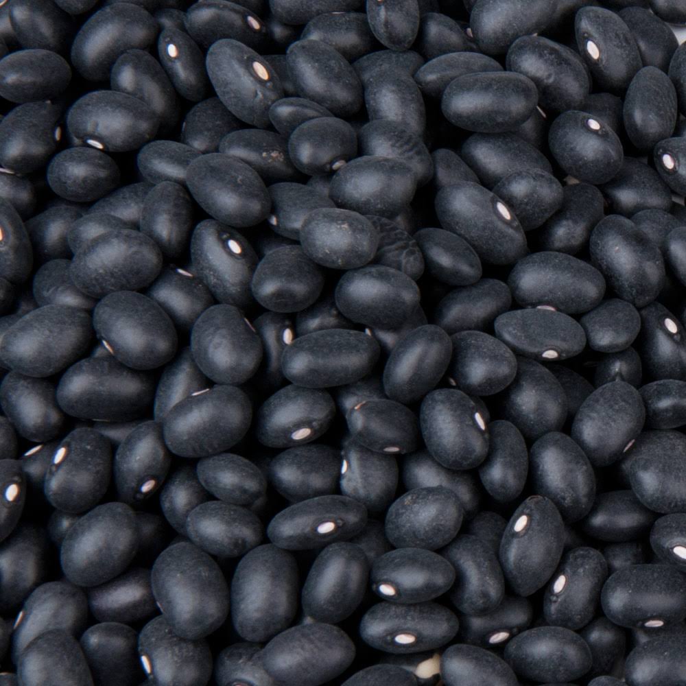 TG Dried Black Beans Bulk 20 lb. Wellnestcares