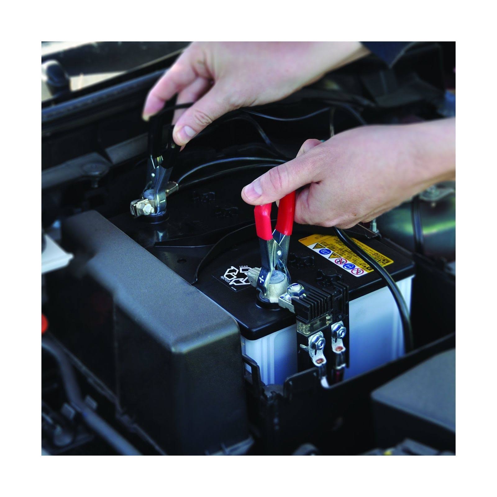 Sunforce 15 Watt Solar Battery Charging Kit Wellnestcares