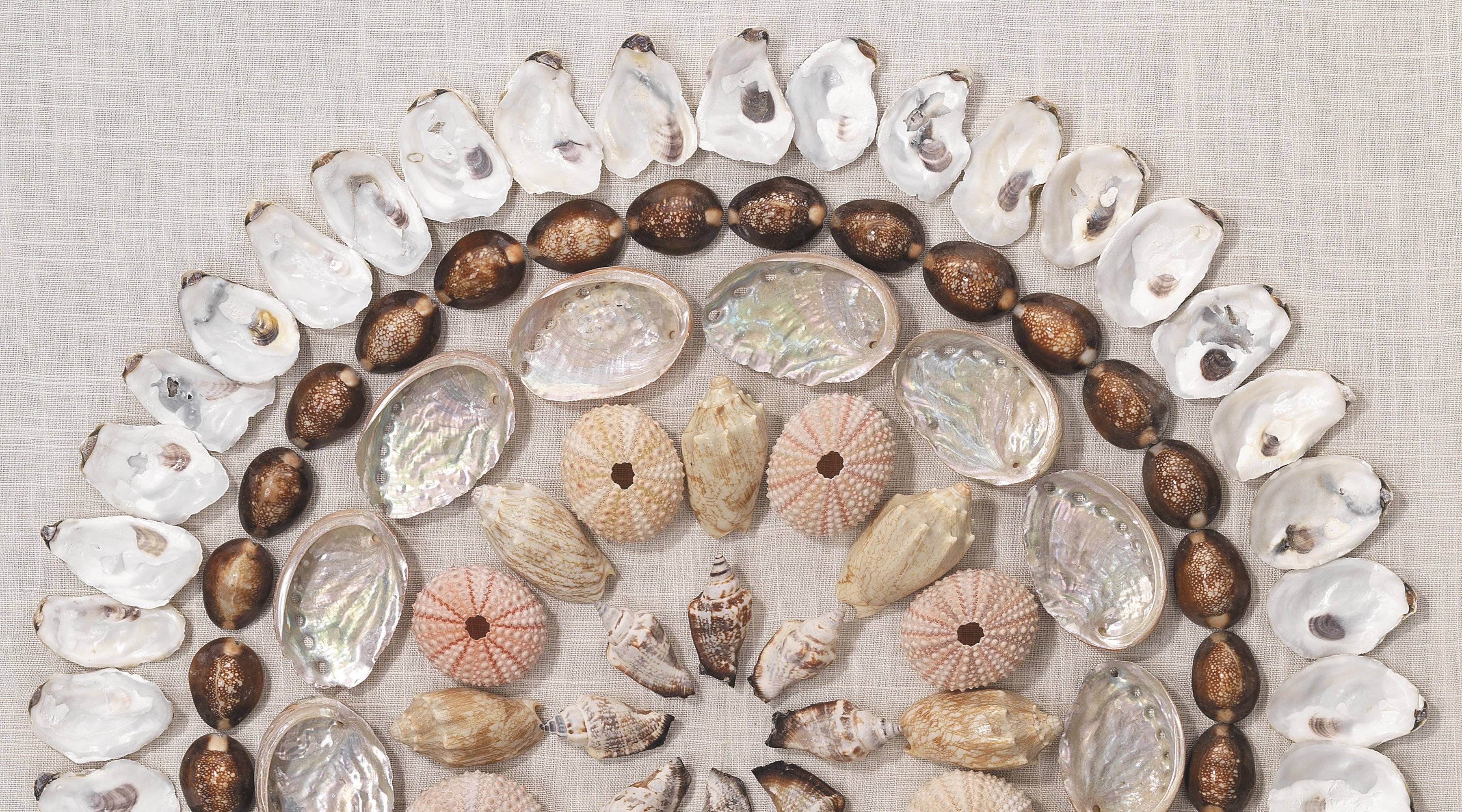 Jamie Young Bondi Acrylic Wall Art Wellnestcares