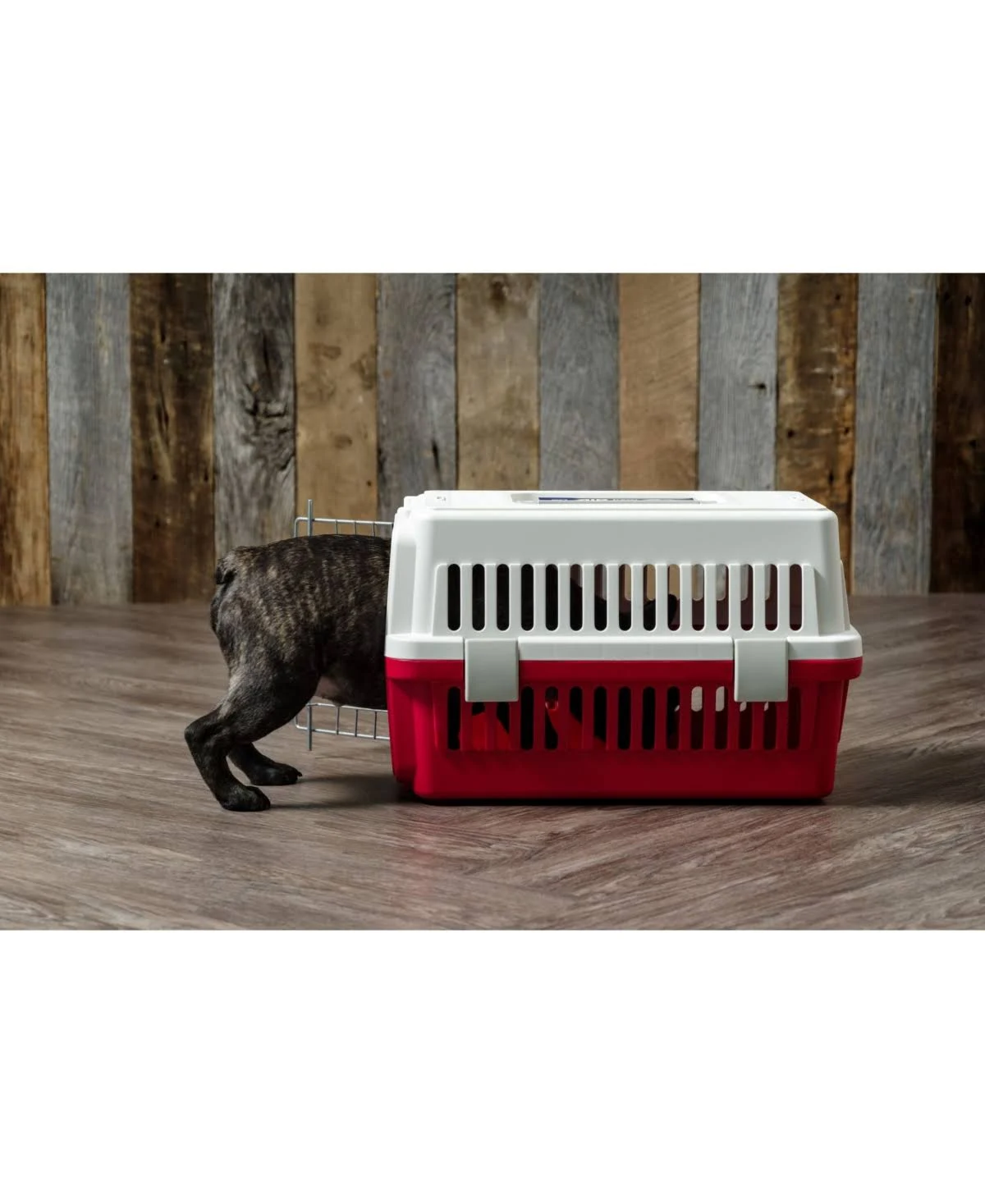 Iris Deluxe Pet Travel Carrier, Red, Extra Small Wellnestcares