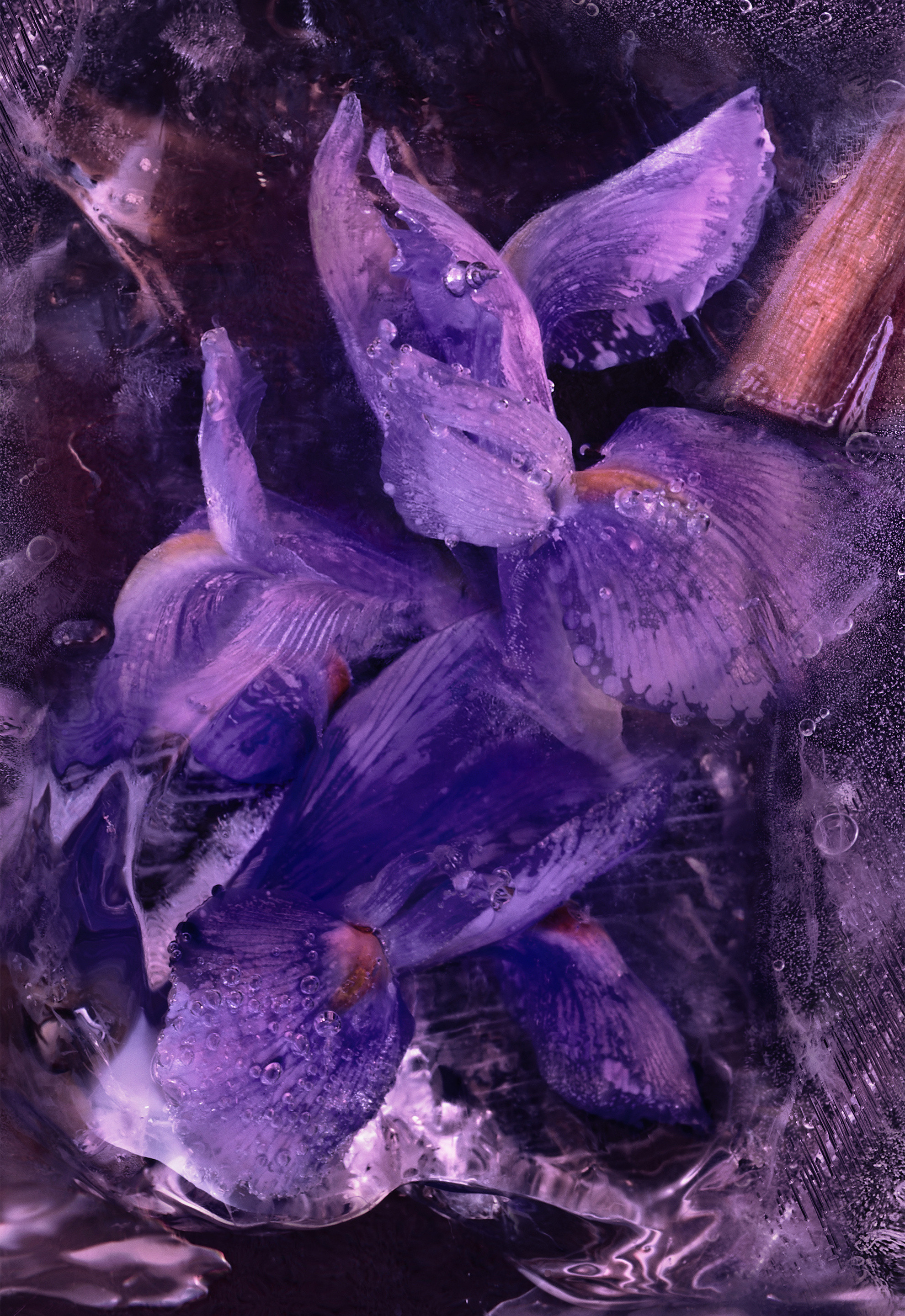 Le Solstice 6.7 Fl.Oz.