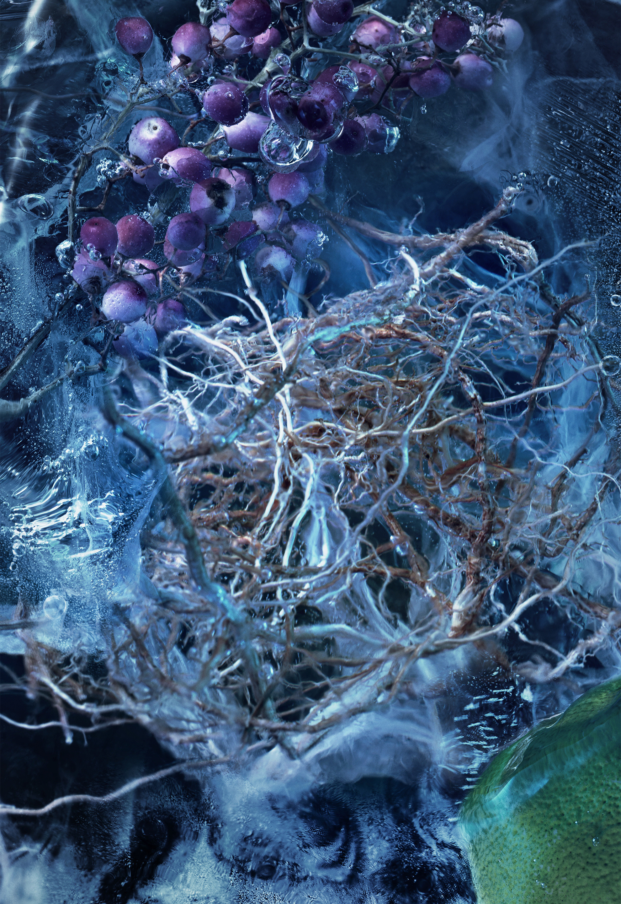 Le Bois Glacé 6.7 oz