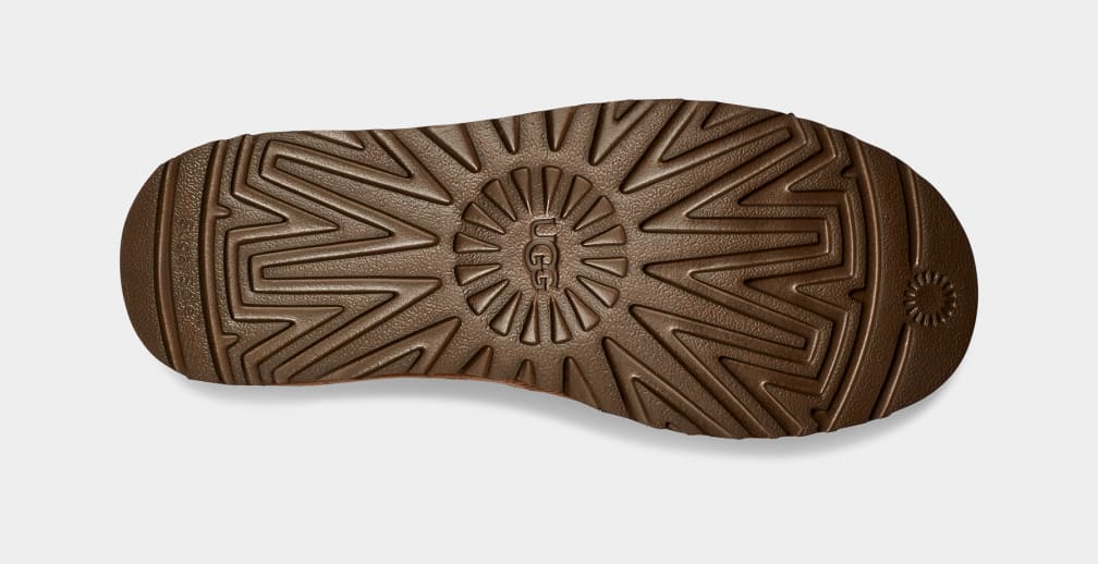 Highland Hi Heritage Trainer