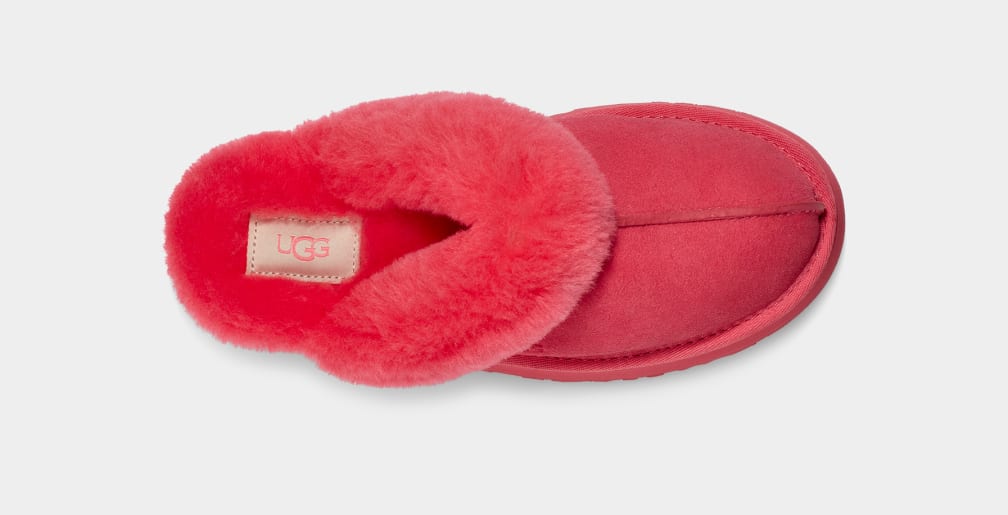 Disquette Slipper