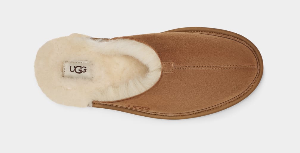 Hyde Slipper