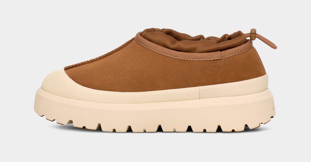 Tasman Weather Hybrid