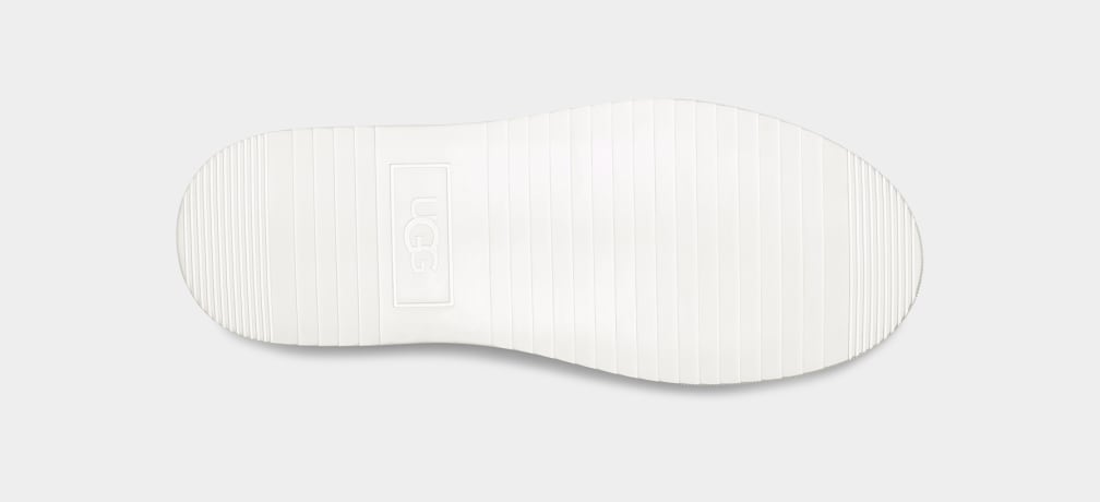 Alameda Mid Zip Trainer