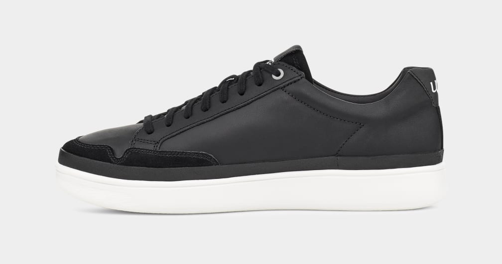 South Bay Low Trainer