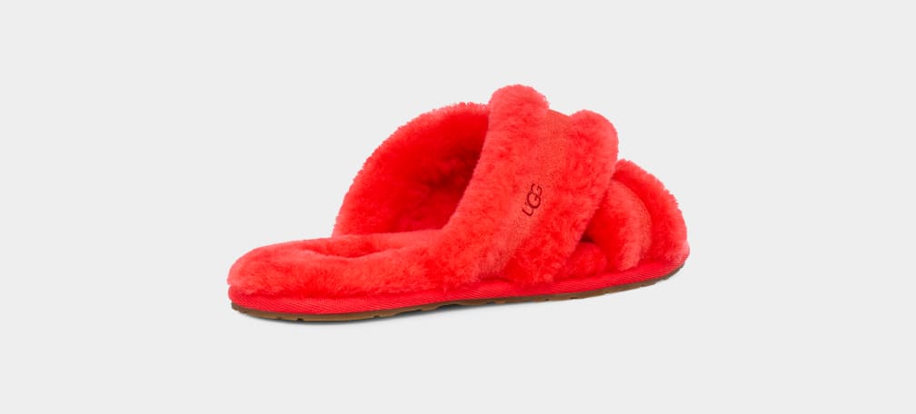 Scuffita Slipper