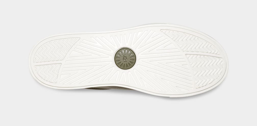 Baysider Low Weather Trainer