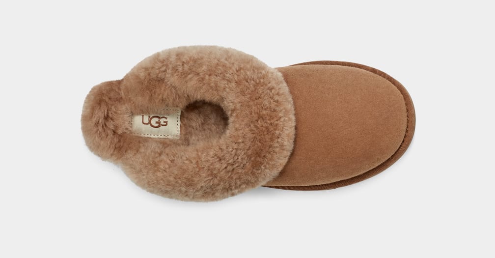 Classic II Slipper