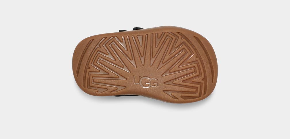 Baby Rennon II Trainer