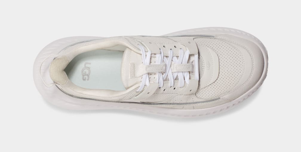 CA805 V2 Nubuck Trainer