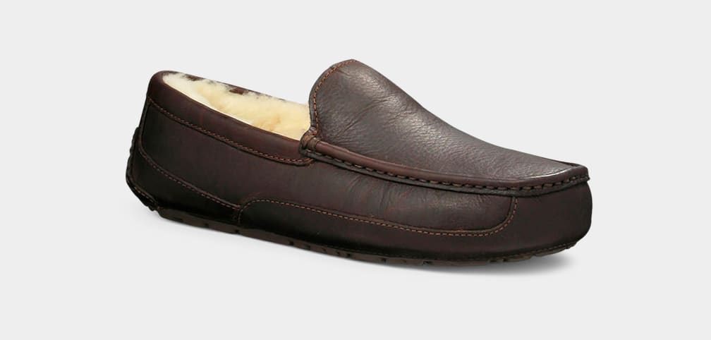 Ascot Slipper