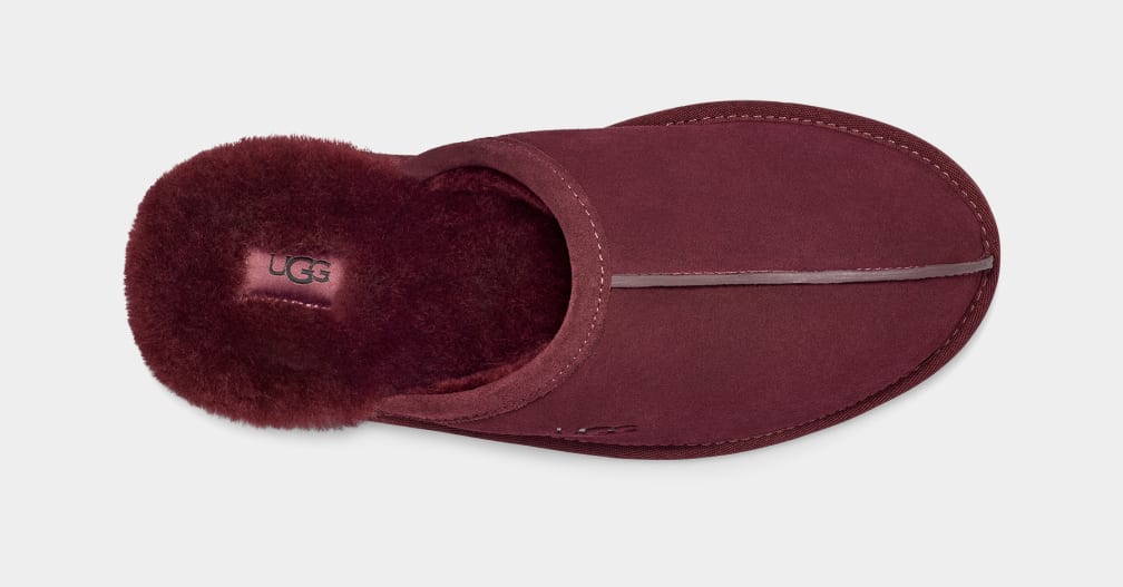 Scuff Slipper