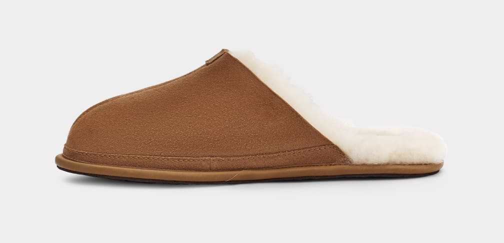 Hyde Slipper