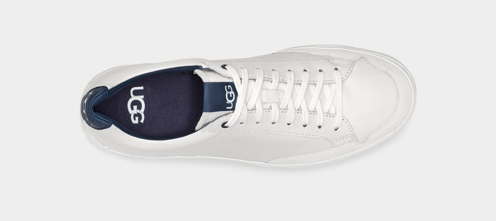 South Bay Low Trainer