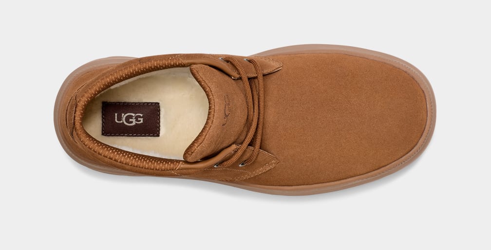 Burleigh Chukka Trainer