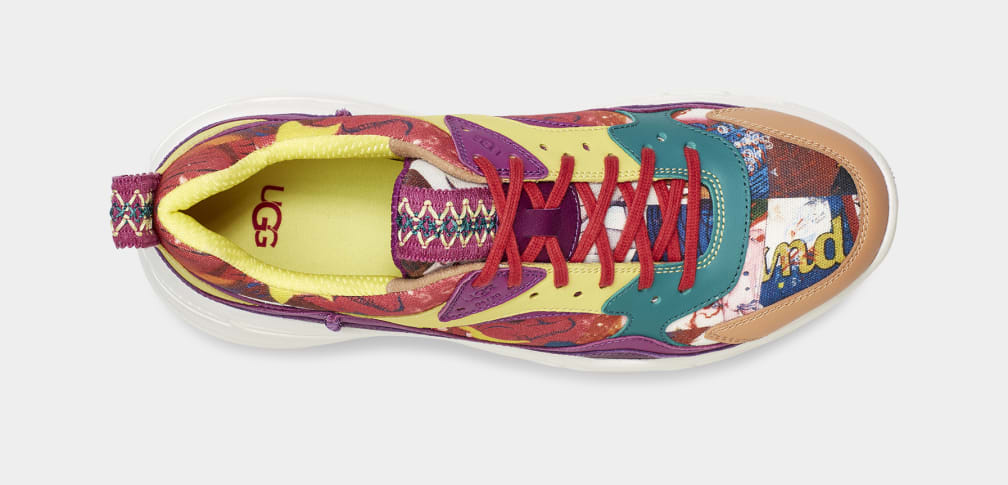 CA805 X Yokoo Wonderland Trainer