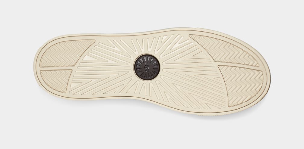 Baysider Low Weather Trainer