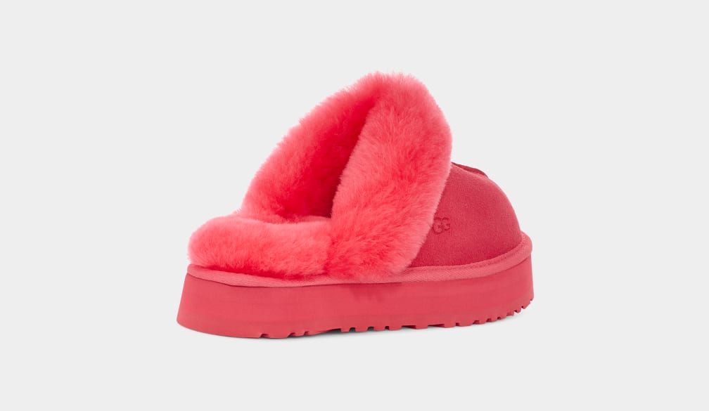 Disquette Slipper