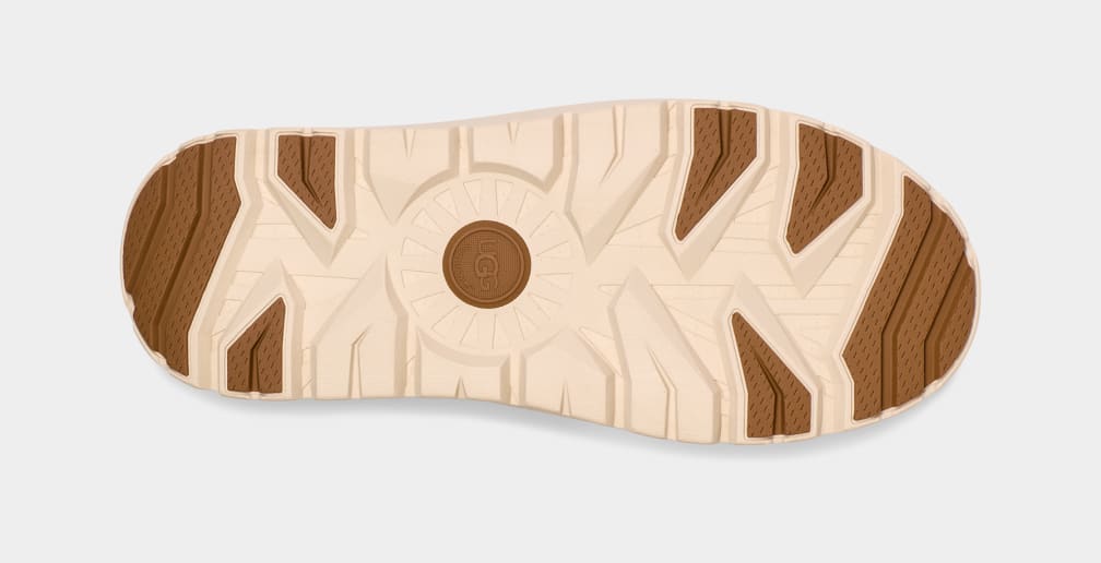 Tasman Weather Hybrid