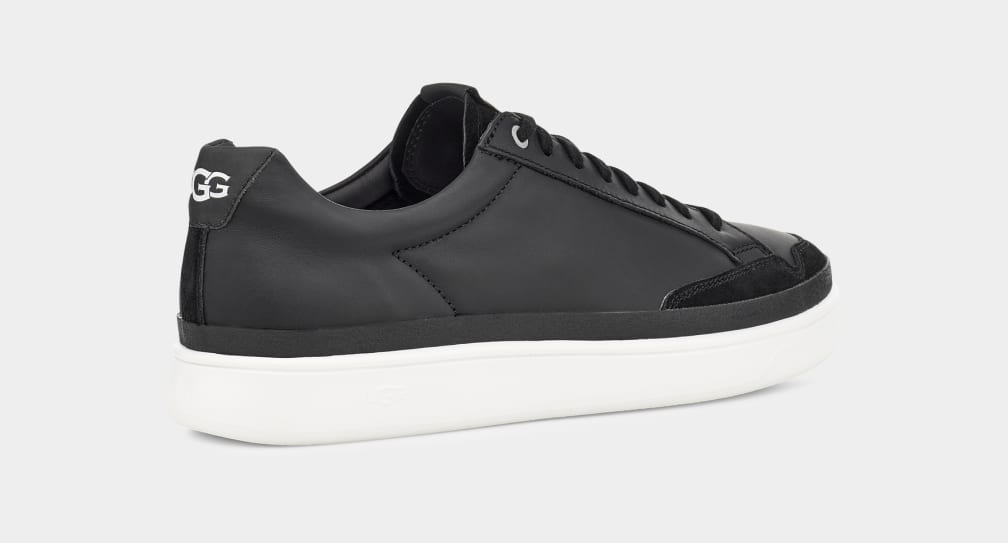 South Bay Low Trainer