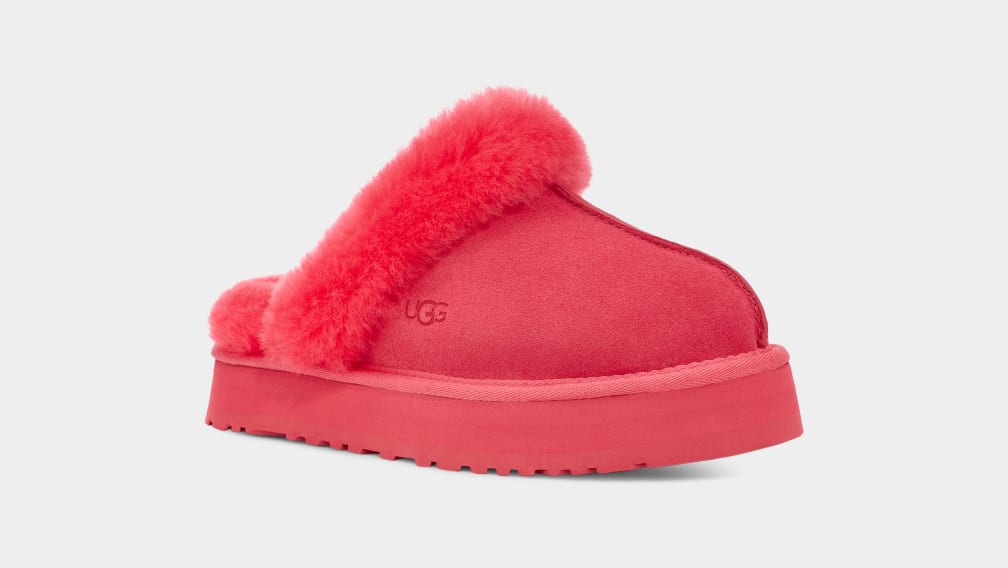 Disquette Slipper