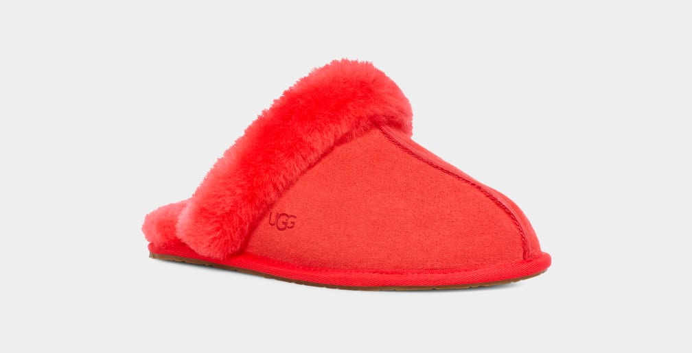 Scuffette II Slipper
