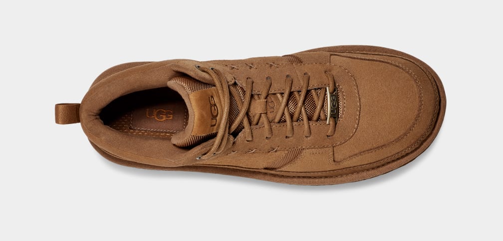 Highland Hi Heritage Trainer