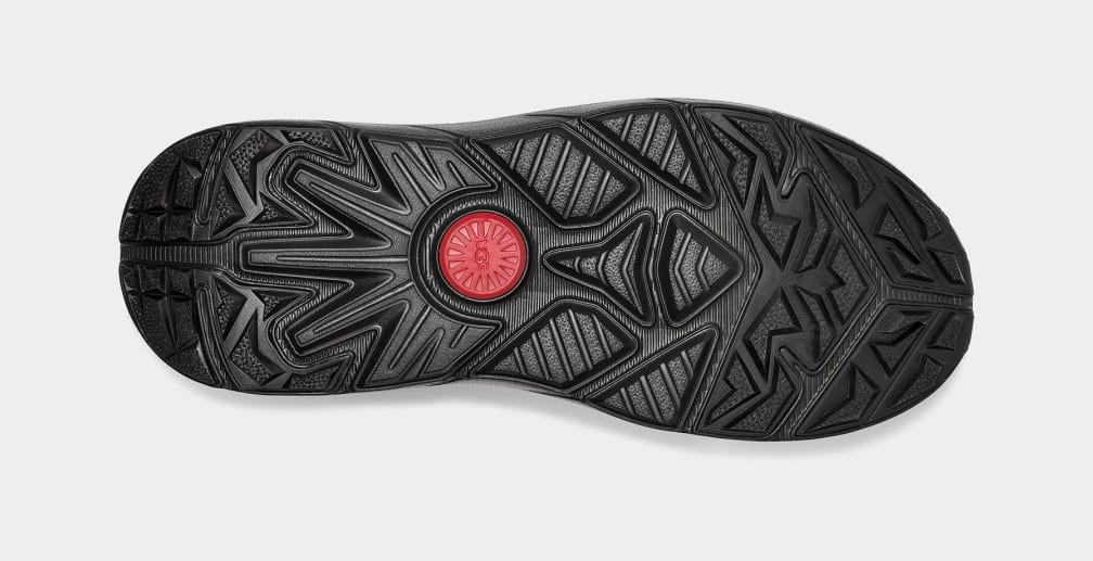 CA805 V2 Remix Heritage Trainer