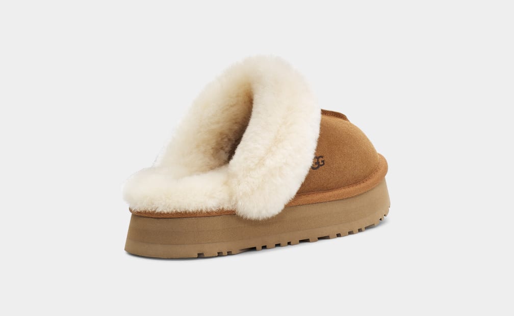 Disquette Slipper