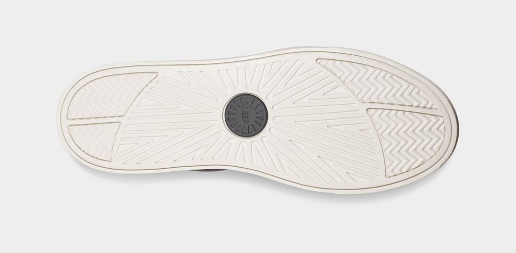 Baysider Low Weather Trainer