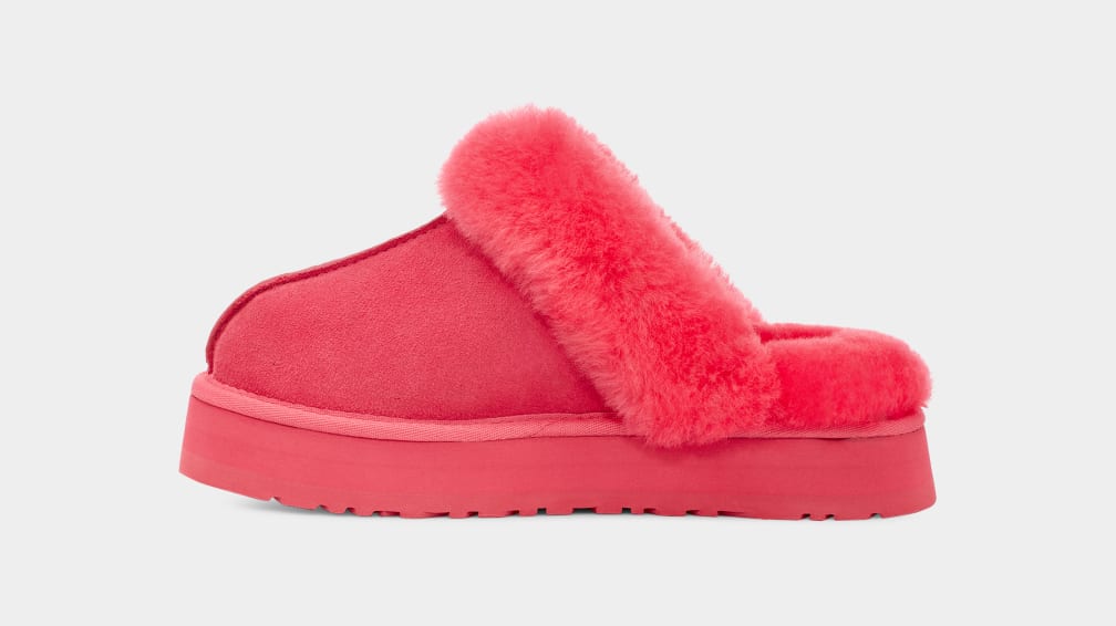 Disquette Slipper