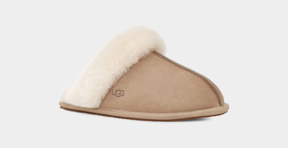 Scuffette II Slipper