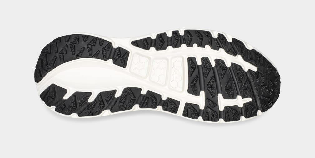 CA805 X Yokoo Wonderland Trainer