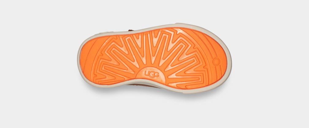 Rennon II Weather Trainer