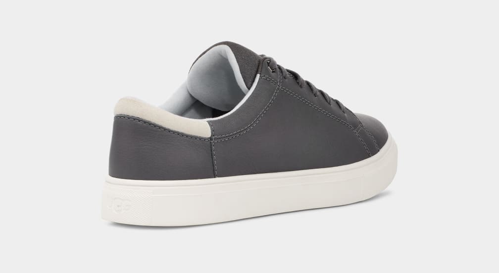 Baysider Low Weather Trainer