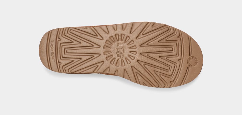 Classic Short Zipper Tape Logo Boot