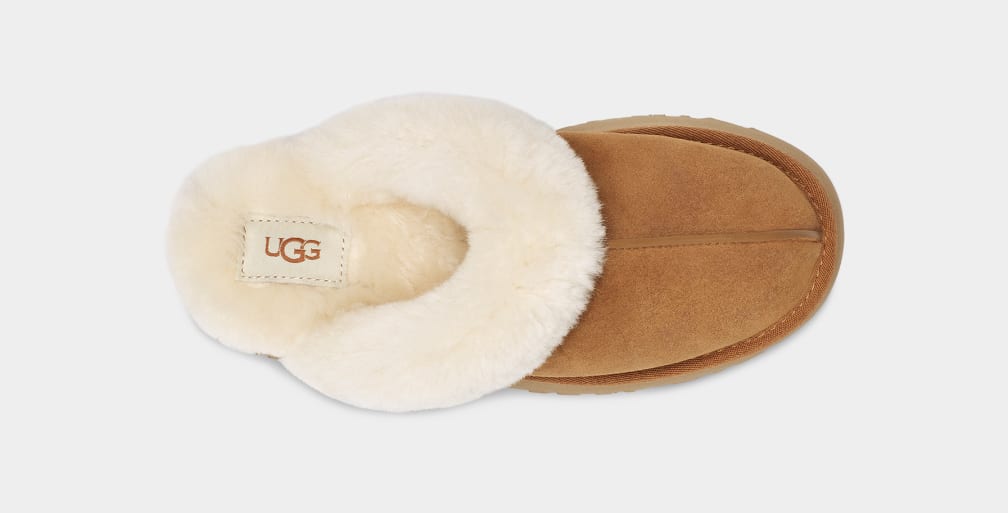 Disquette Slipper