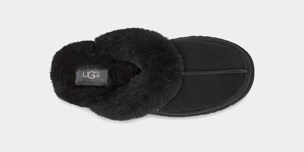 Disquette Slipper
